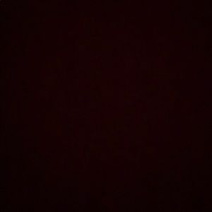 Meet your Posher, Roshni